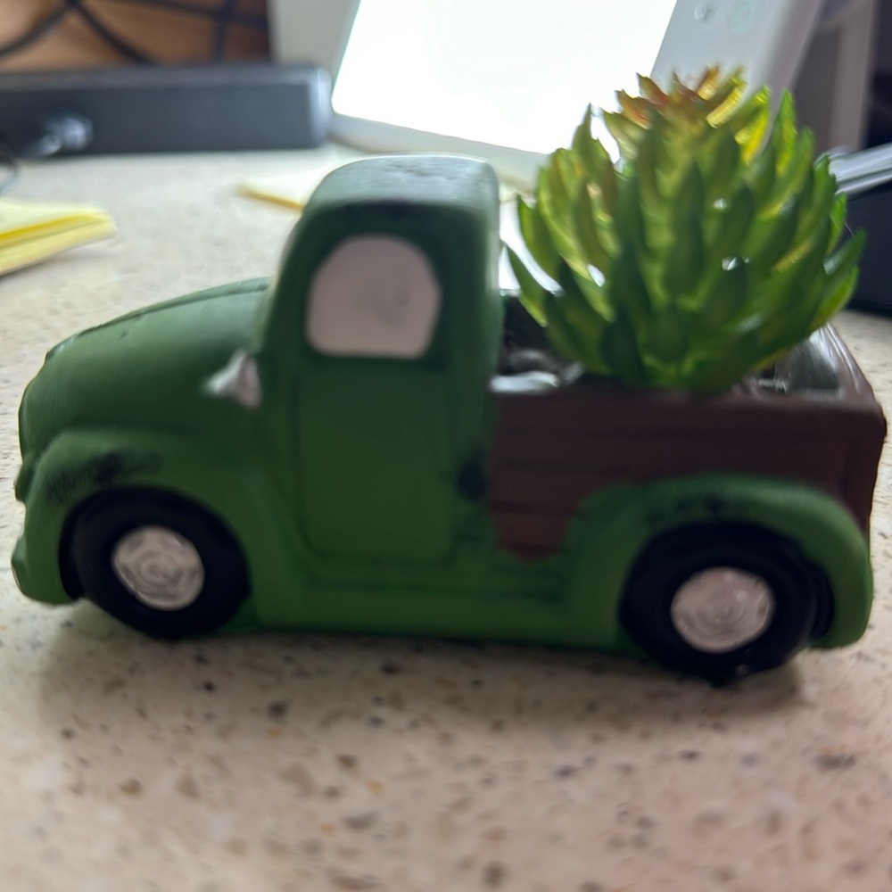 Mini plastic succulent in pick up
